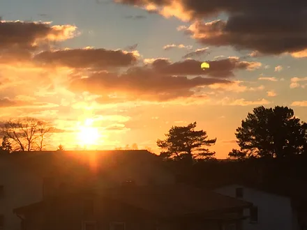 Blick von der Terrasse 