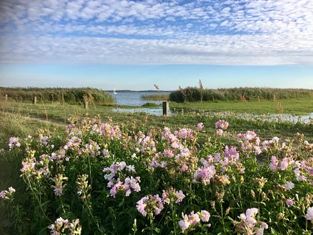 Idyll am Achterwasser