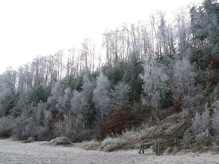 Winter an der Steilküste