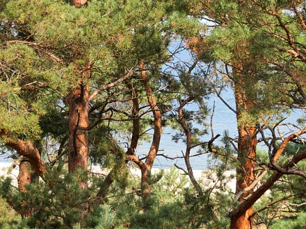 Blick aus der Wohnung