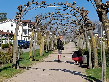 schön bepflanzter Mittelgang der Promenade