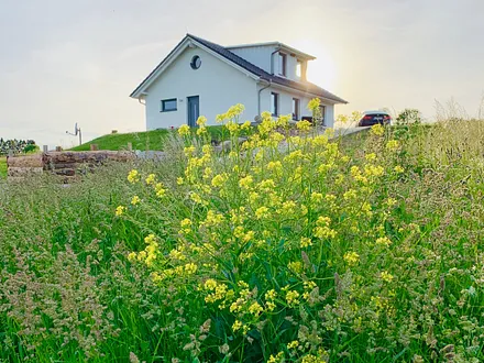 Blick aus Richtung Straße "Wanderweg zum Königsstuhl" 