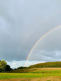 Regenbogen, Wald und Meer (Blick aus oberer Etage)