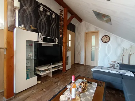 geräumiger und gemütlicher Wohnraum