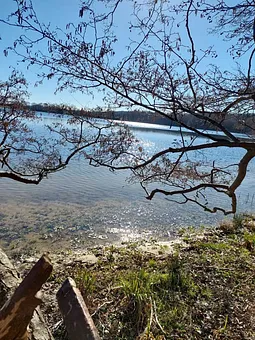 schauen bis auf den "Grund "am nahegelegenen Krebssee