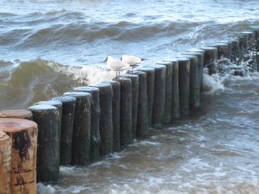 Brausende Ostsee