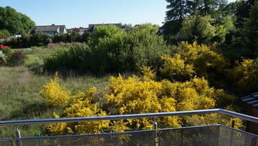 Sicht vom Balkon