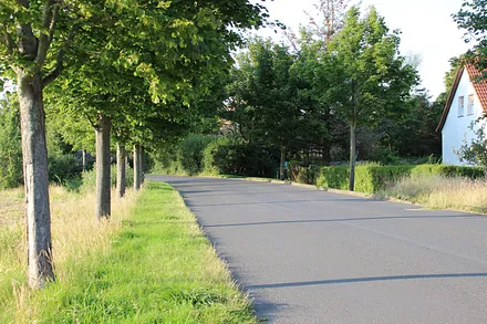 Die "Neue Straße" in Waase 