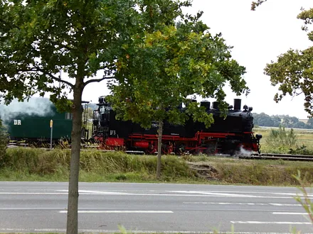 Mit dem Rasenden Roland über die Insel Rügen