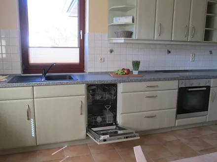 Küchenspüle + Spülmaschine