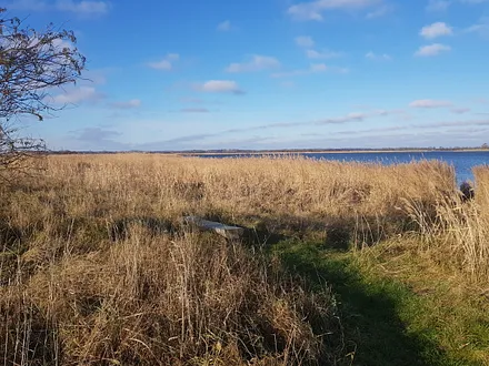am Bodden 600m von der Fewo