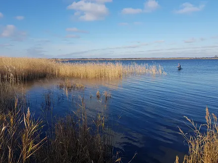 am Bodden 600m von der Fewo