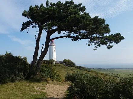 Leuchtturm auf der Insel Hiddensee