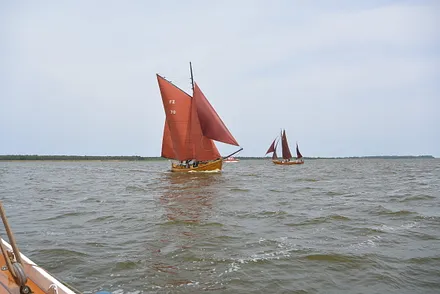 Zeesbootregatta - Braune Segel mit Tradition