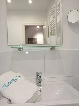 NEU renoviertes Duschbad - 2016