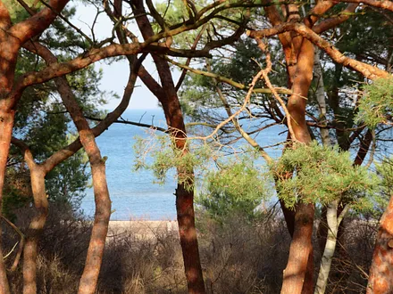 eingeschränkter Seeblick