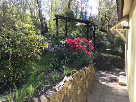 Blick in den Garten hinter dem Haus.