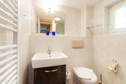 Das Bad bietet Dusche und WC.