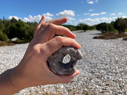 Die Feuersteinfelder in Mukran.