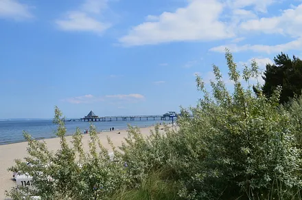 Umgebung - Blick zur 508m langen Heringsdorfer Seebrücke und den Strand