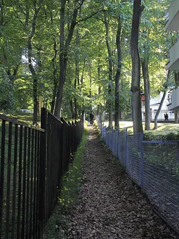 Der idyllische Weg zum Strand