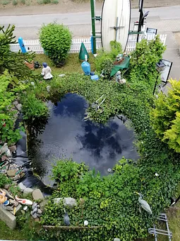 Blick vom Balkon auf unseren Teich