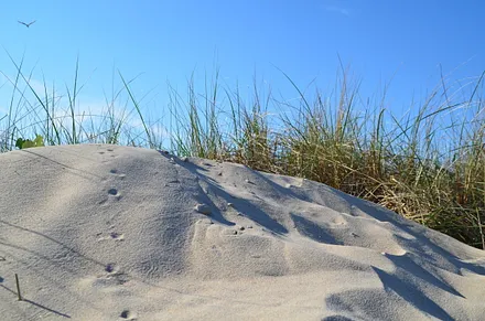 Feiner Strandsand (c) L. Brose