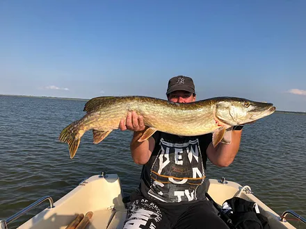 Angelglück - Hecht von 1,04 m - vor unserem Wassergrundstück