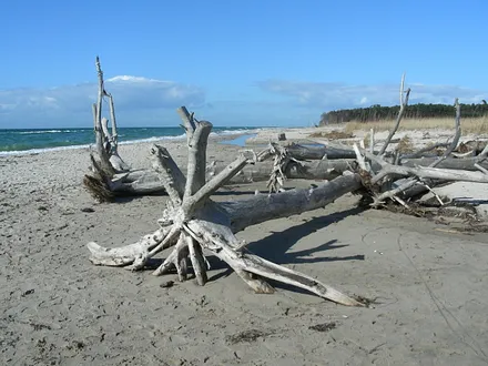 Ostseestrand nach Sturm