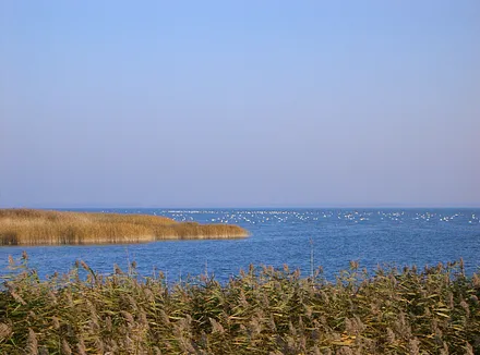 Bodden - Natur PUR !