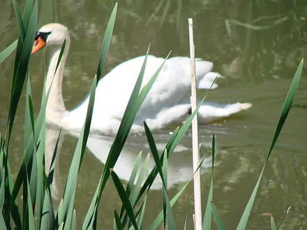 Kommt uns immer besuchen