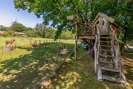 Vom Kinderhaus haben die kleinen Gäste den besten Blick auf die tierischen Mitbewohner.