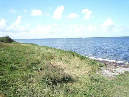 In 10-15 Gehminuten sind Sie am Wasser. Hier der Blick nach Hiddensee. 