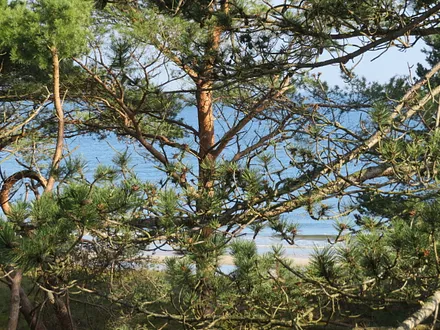 eingeschränkter Seeblick