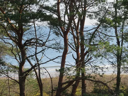 eingeschränkter Seeblick