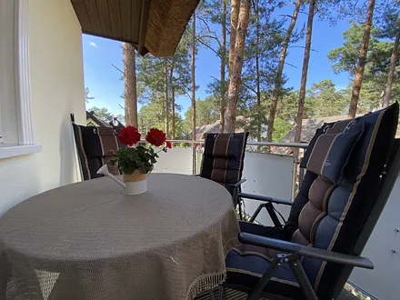 Balkon mitten im Kiefernwald