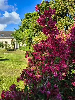 Garten 1