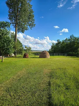 Hofwiese Richtung Gothensee