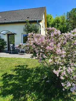 Garten 2