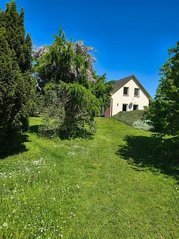 Ferienwohnung First