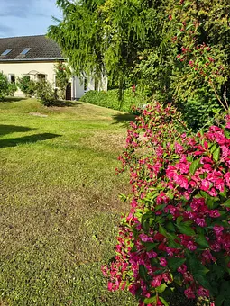 Garten 3