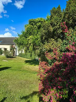 Garten 4