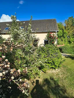 Außenansicht 3