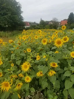 Willkommen in Bobbin, hier ist Natur pur.