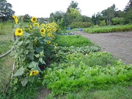 Gartenanlage Haus Klimek, Selbstversorgung