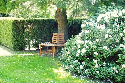 Gartenimpressionen rund um das Klönhus