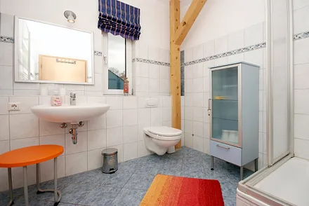 Tageslichtbad mit DU/WC