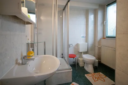 Tageslichtbad mit Dusche/WC