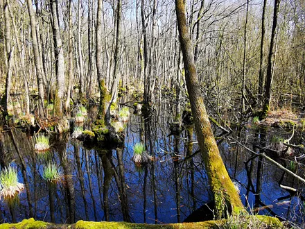 Einfach märchenhaft