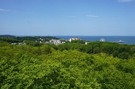 Seebad Heringsdorf, Blick vom Baumwipfelpfad